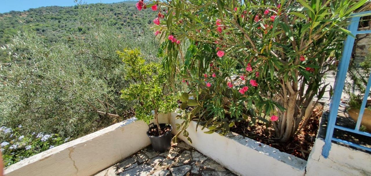 Maison Charme Avec Piscine Privee, Pres De La Mer A Sappounakeika, Tyros Sapounakeika Buitenkant foto