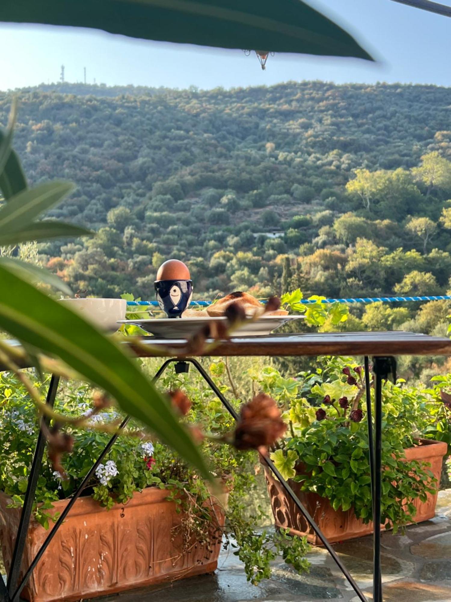Maison Charme Avec Piscine Privee, Pres De La Mer A Sappounakeika, Tyros Sapounakeika Buitenkant foto